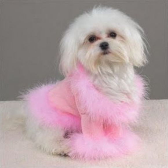 East Side Collection Other - Fancy Pink dog jacket feathers rhinestones SMALL